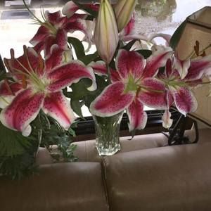 Meet your Posher, Valerie